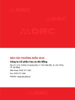 BAO CAO THNG NIEN 2016 cong ty c phn 
