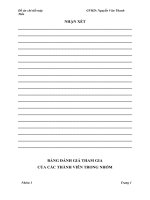 ĐỒ ÁN CHI TIẾT MÁY: THIẾT KẾ HỆ THỐNG DẪN ĐỘNG XÍCH TẢI