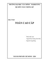 TRƯỜNG ĐẠI HỌC TÀI CHÍNH – MARKETING BỘ MÔN TOÁN THỐNG KÊ Giáo Trình TOÁN CAO CẤP