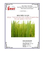 BÀI TIỂU LUẬN đề tài tình hình phát triển và phân bố ngành nông lâm ngư nghiệp ở việt nam 