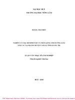 Nghiên cứu đặc điểm phân bố và nhân giống sinh dưỡng loài Sâm Cau tại địa bàn huyện Cam Lộ, tỉnh Quảng Trị