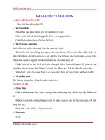 KHBD lịch sử  6 kết nối tri thức 