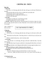 Tie 13 Cau tao ngoai cua than