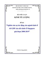 Kinh tế lượng   Nghiên cứu sự tác động của các ngành kinh tế tới  GDP của nền kinh tế singapore giai đoạn 2008 2019