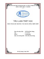 Phân tích chủ trương xây dựng nông thôn mới 