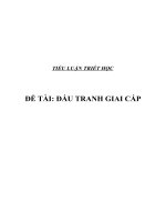 Đấu tranh giai cấp 
