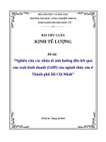 Kinh tế lượng   Các nhân tố ảnh hưởng đến kết quả sản xuất kinh doanh (GDP) của ngành thủy sản ở thành phố hồ chí minh