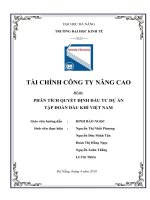 PHÂN TÍCH QUYẾT ĐỊNH đầu tư dự án tập ĐOÀN dầu KHÍ VIỆT NAM 