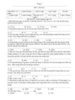 violympic vong 5 lop 4