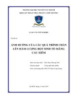 ẢNH HƯỞNG của các QUÁ TRÌNH CHẦN lên hàm LƯỢNG bột SINH tố MÃNG cầu XIÊM 