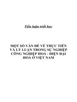 Một số vấn để về thực tiễn và lý luận trong sự nghiệp công nghiệp hoá   hiện đại hóa 