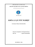 KHẢO sát và ĐÁNH GIÁ HIỆN TRẠNG xử lý nước THẢI tại KCN ĐÌNH vũ 