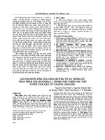 Giá trị bước đầu của cộng hưởng từ đa thông số theo phân loại PI-PIRADSv2.1 trong phát hiện ung thư tuyến tiền liệt có ý nghĩa lâm sàng