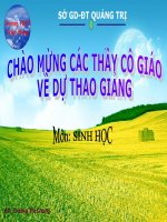 Te bao nhan thuc