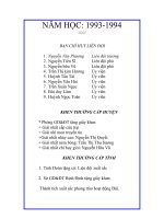 BCH LIEN DOI NAM HOC 19931994