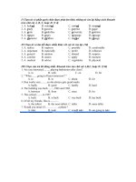 hon 10 de tieng anh hsg 8