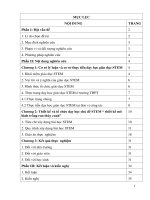 Thiết kế và tổ chức tổ chức dạy học - bài học STEM “mô hình trồng rau thủy canh” trong bài 4 Vai trò của các nguyên tố khoáng sinh học 11