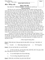 Bai tap tuan 19 lop 5