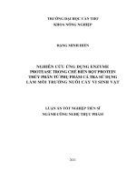 Nghiên cứu ứng dụng enzyme protease trong chế biến bột protein thủy phân từ phụ phẩm cá tra sử dụng làm môi trường nuôi cấy vi sinh vật 