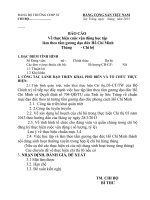 21 Mau Bao cao Chi thi 03 chi bo