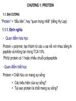 Bài giảng Hóa sinh đại cương - Chương 1: Protein