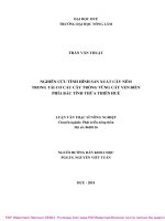 Nghiên cứu tình hình sản xuất cây ném trong tái cơ cấu cây trồng vùng cát ven biển phía Bắc tỉnh Thừa Thiên Huế