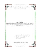 SỰ THỐNG NHẤT BIỆN CHỨNG GIỮA lí LUẬN và THỰC TIỄN và sự vận DỤNG QUY LUẬT này vào QUÁ TRÌNH đổi mới ở VIỆT NAM