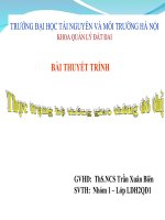 thuc trang he thong giao thong do thi viet nam