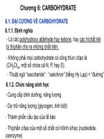 Bài giảng Hóa sinh đại cương - Chương 6: Carbohydrate và chuyển hóa carbohydrate