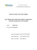 QUY TRÌNH THỰC HIỆN HOẠT ĐỘNG MARKETING ONLINE tại HAXACO võ văn KIỆT 