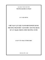 Luận văn Thạc sĩ Hoá học: Chế tạo vật liệu nano Bentonite bằng phương pháp bóc tách siêu âm ứng dụng xử lý Mn(II) trong môi trường nước