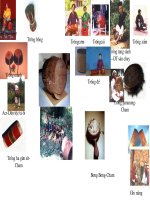 Bo suu tap hinh anh cac nhac cu