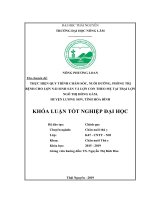 Khóa luận tốt nghiệp Đại học: Thực hiện quy trình chăm sóc, nuôi dưỡng, phòng trị bệnh cho lợn nái sinh sản và lợn con theo mẹ tại trại lợn Ngô Thị Hồng Gấm, huyện Lương Sơn, tỉnh