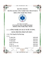 BÀI TIỂU LUẬN môn ỨNG DỤNG CÔNG NGHỆ SINH học TRONG CÔNG NGHỆ THỰC PHẨM đề tài CÔNG NGHỆ sản XUẤT nước TƯƠNG BẰNG PHƯƠNG PHÁP lên MEN 