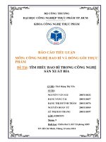 BÁO cáo TIỂU LUẬN môn CÔNG NGHỆ BAO bì và ĐÓNG gói THỰC PHẨM đề tài tìm HIỂU BAO bì TRONG CÔNG NGHỆ sản XUẤT BIA 