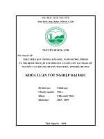 Khóa luận tốt nghiệp Đại học: Thực hiện quy trình chăm sóc, nuôi dưỡng, phòng và trị bệnh cho lợn nái sinh sản và lợn con tại trại lợn Nguyễn Văn Khanh, huyện Thanh Hà, tỉnh