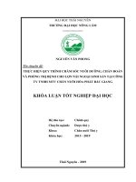 Khóa luận tốt nghiệp Đại học: Thực hiện quy trình chăm sóc nuôi dưỡng, chẩn đoán và phòng trị bệnh cho lợn nái ngoại sinh sản tại Công ty TNHH MTV chăn nuôi Hòa Phát Bắc Giang
