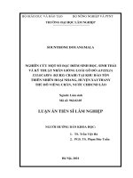 (Luận án tiến sĩ) nghiên cứu một số đặc điểm sinh học, sinh thái và kỹ thuật nhân giống loài gõ đỏ  tại khu bảo tồn thiên nhiên hoại nhang,, nước cộng hòa dân chủ nhân dân lào 