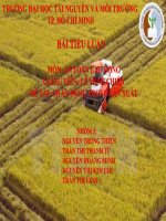 Bài tiểu luận an toàn lao động chấn động trong sản xuất 