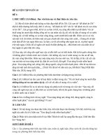 TUYỂN tập 10 đề đọc HIỂU 9 lên 10 ĐÚNG cấu TRÚC 