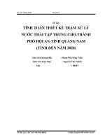 Đề tài TÍNH TOÁN THIẾT kế TRẠM xử lý nƣớc THẢI tập TRUNG CHO THÀNH PHỐ hội AN TỈNH QUẢNG NAM (TÍNH đến năm 2020) 