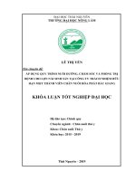 Khóa luận tốt nghiệp Đại học: Áp dụng quy trình nuôi dưỡng, chăm sóc và phòng trị bệnh cho lợn nái sinh sản tại công ty Trách Nhiệm Hữu Hạn Một Thành Viên Chăn Nuôi Hòa Phát Bắc