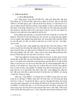 BÁO cáo ĐÁNH GIÁ tác ĐỘNG môi TRƯỜNG dự án NHÀ máy CHẾ BIẾN gỗ, sản XUẤT HÀNG cơ KHÍ nội THẤT và vật LIỆU xây DỰNG 