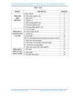 Kinh nghiệm vận dụng một số phương pháp dạy học tích cực trong dạy học phân môn Hóa học, bộ môn KHTN 8 tại trường - SKKN