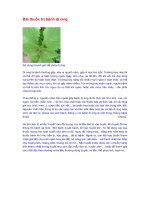 Bai thuoc tri benh di ung