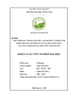 Khóa luận tốt nghiệp Đại học: Thực hiện quy trình chăm sóc, nuôi dưỡng và phòng trị bệnh cho lợn nái tại trang trại chăn lợn tập đoàn Hòa Phát, xã Lương Thịnh – huyện Trấn Yên –
