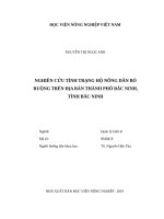 Nghiên cứu tình trạng hộ nông dân bỏ ruộng trên địa bàn thành phố bắc ninh, tỉnh bắc ninh 