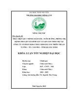 Khóa luận tốt nghiệp Đại học: Thực hiện quy trình chăm sóc, nuôi dưỡng và phòng trị bệnh cho lợn nái sinh sản và lợn con theo mẹ nuôi tại Công ty CP khai thác khoáng sản Thiên