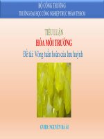 Tiểu luận hóa môi trường đề tài vòng tuần hoàn của lưu huỳnh 