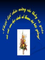 bai soan hoi giang on tap dai lop 8